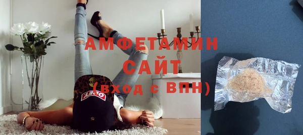 гашик Алексин