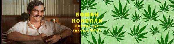 гашик Медногорск
