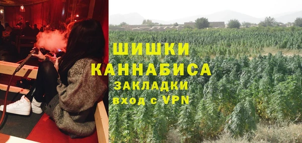 гидра Алексеевка