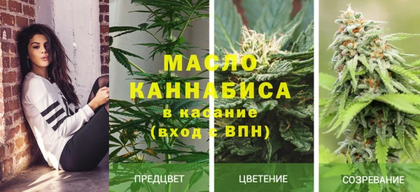 стаф Медвежьегорск
