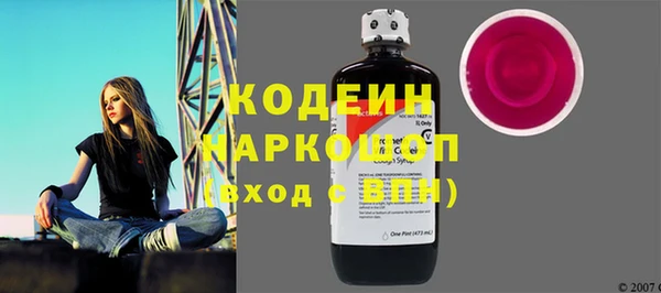 гашик Алексин