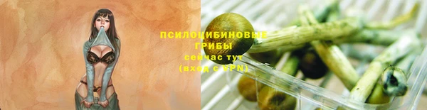 spice Алзамай