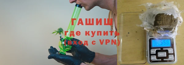 гашик Алексин