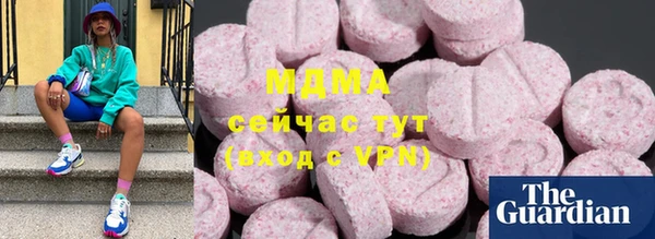 гашик Алексин