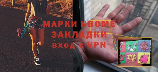 гашик Алексин